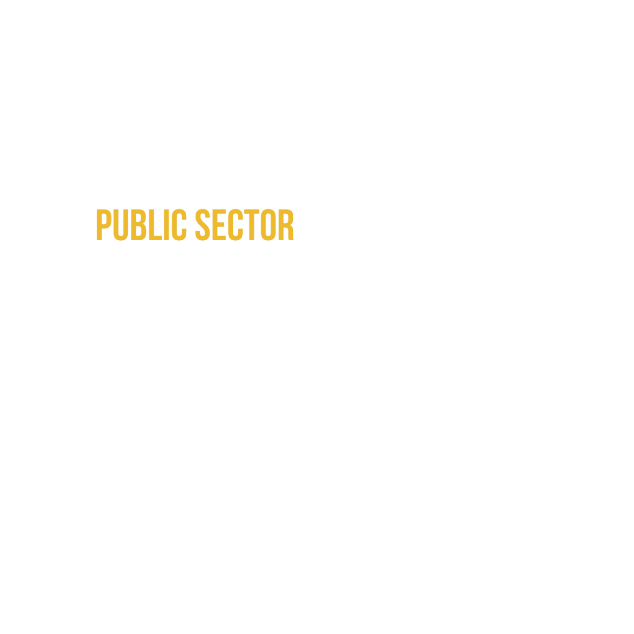 Public Sector Executive 2027