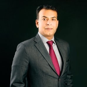 Shameek Bhushan, Professio