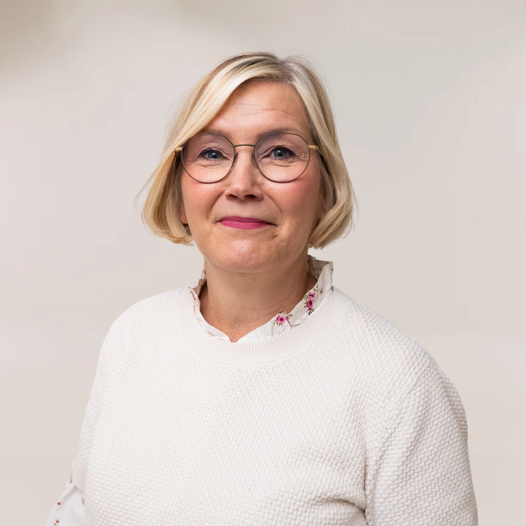 Anne Mikkilä, Professio