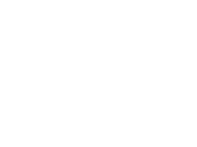 Aalto EE logo white