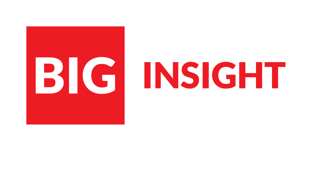 BIG Business Insight Group by Professio logo RGB white red