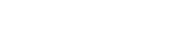 Erillisverkot logo white