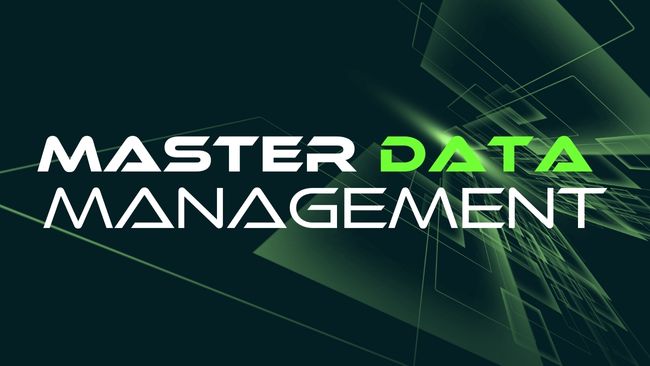 Master Data Management 2025 | Professio