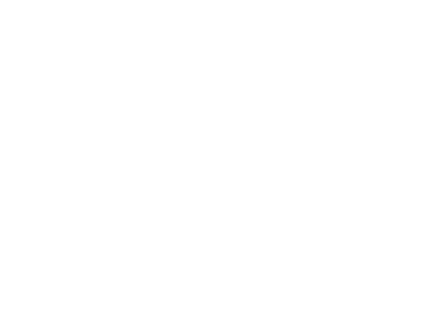 NordHero logo valkoinen