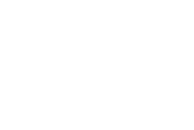 VTT logo white