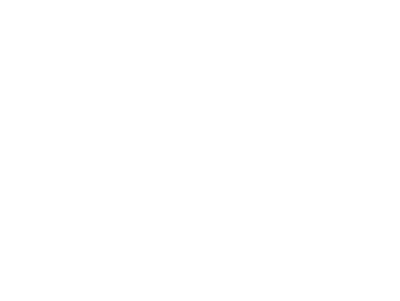 Wihuri-Aviation-white-pysty
