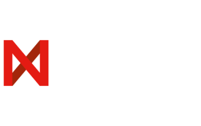 netox logo